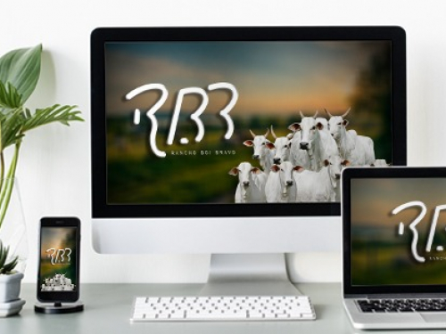 RBB está mais digital: modernizamos nossa marca e nossos canais online.